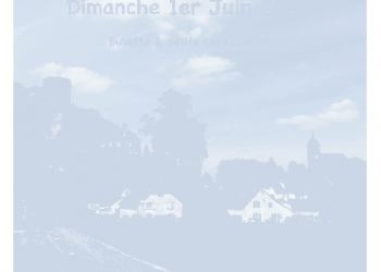 Vide-Grenier/Brocante de Rupt-Sur-Sane