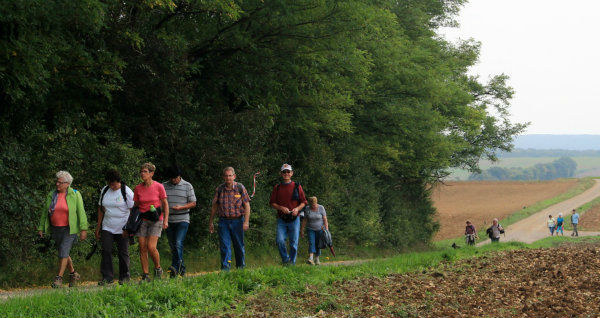 marche-gourmande-29-septembre-15-cc26