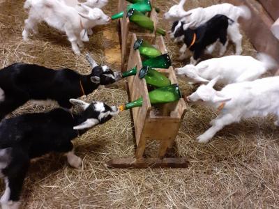 La Ferme du Magny Robert_WhatsApp-Image-2023-12-05-a-15.14.28-3b582dbe
