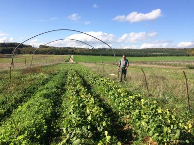 Les Serres du Ph�nix