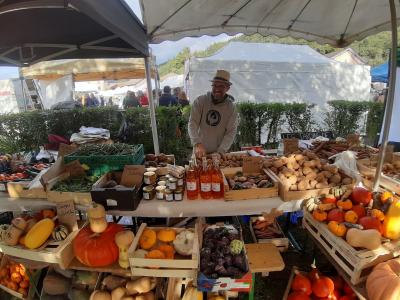 Les jardins et la conserverie de Th�ophile