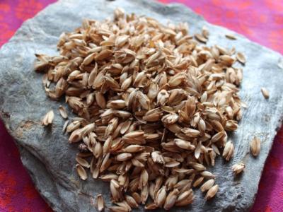 Oreillers "Atout'aiz"