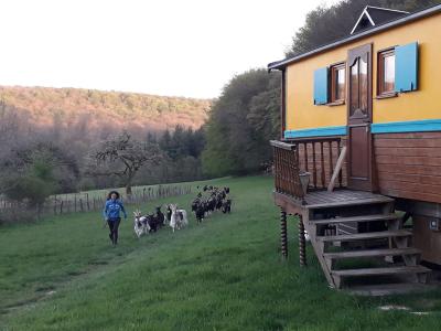 Roulottes a la ferme_WhatsApp-Image-2023-12-05-a-15.07.01-d1941da2