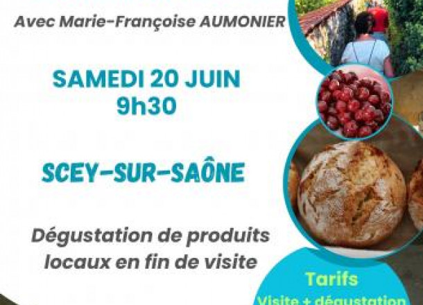 Secrets de Scey-sur-Saône par les chemins de traverse