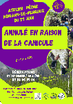 Agrandir l'image